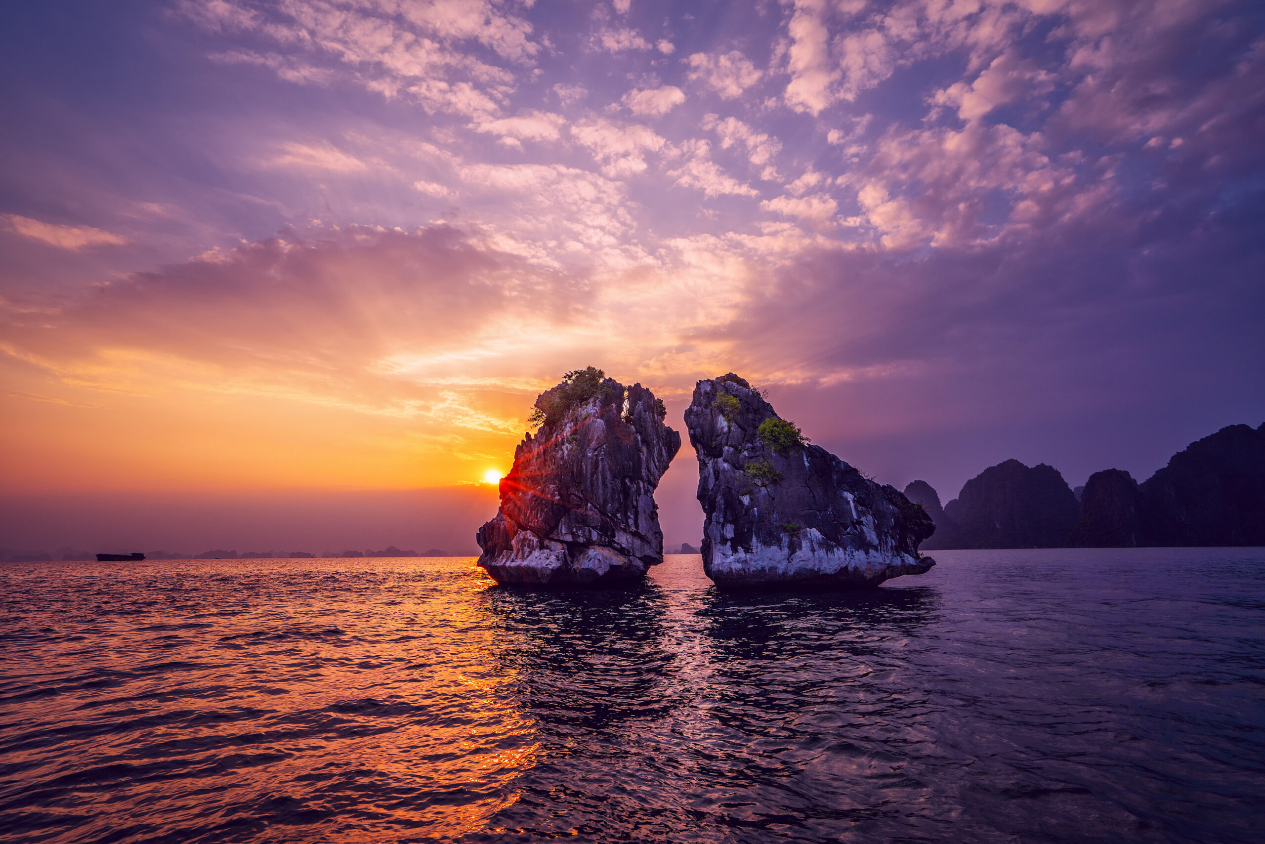 Hạ Long